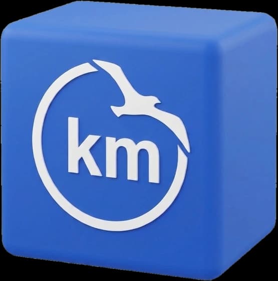 kayıtMatik simgesi